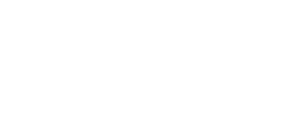 NEMRA logo